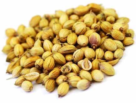 Dhania seeds coriander seeds ಧನಿಯಾ