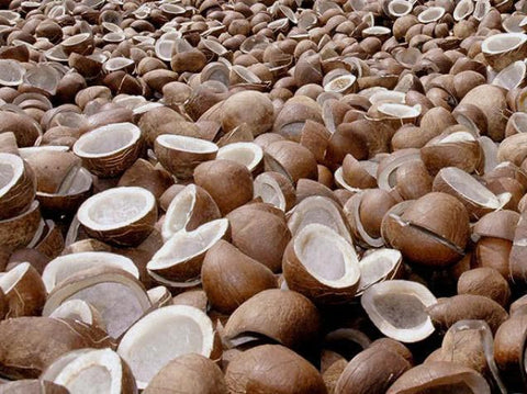 Dry Coconut ಖೋಬರಿ